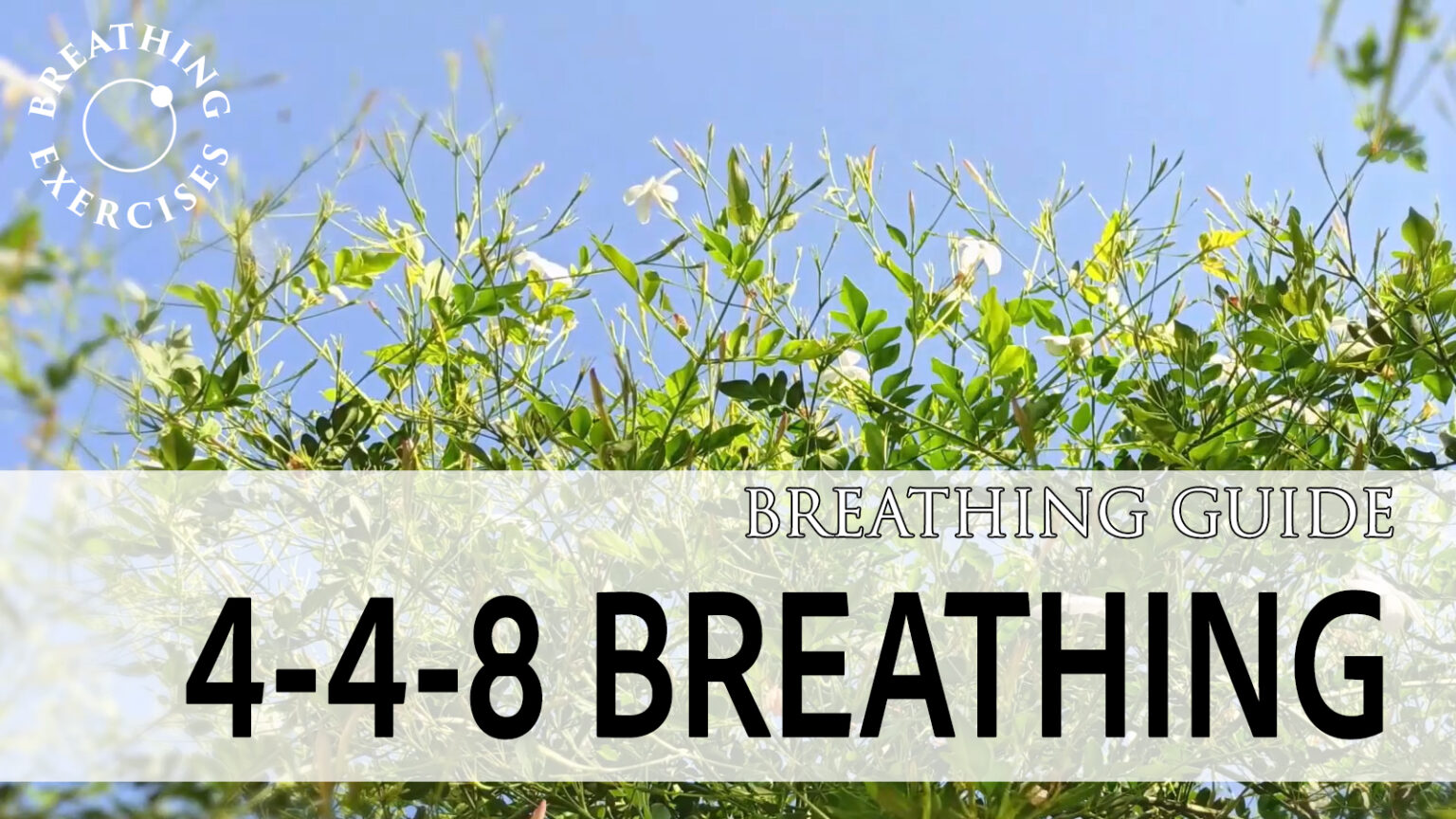 7min Concentration exercise | Breathing exercises